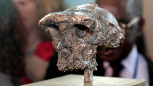 Touma&iuml; marchait bien il y a 7 millions d'ann&eacute;es, mais pas seulement