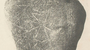 Peste noire: apr&egrave;s des si&egrave;cles de myst&egrave;re, on sait enfin d'o&ugrave; elle venait