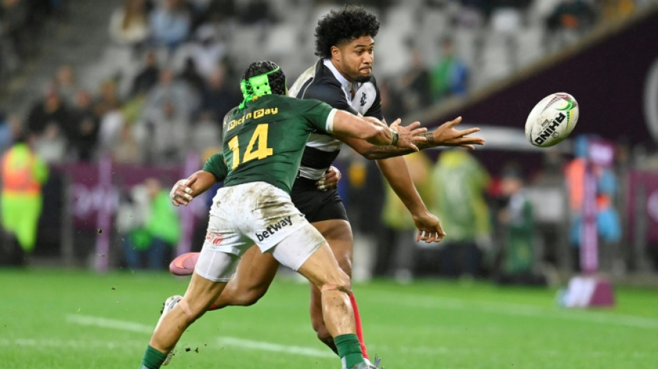 Springbok coach Erasmus introduces 'hybrid player' Esterhuizen