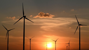 Bericht: Ampel-Regierung hat Windenenergie-Nutzung nicht deutlich erh&ouml;ht