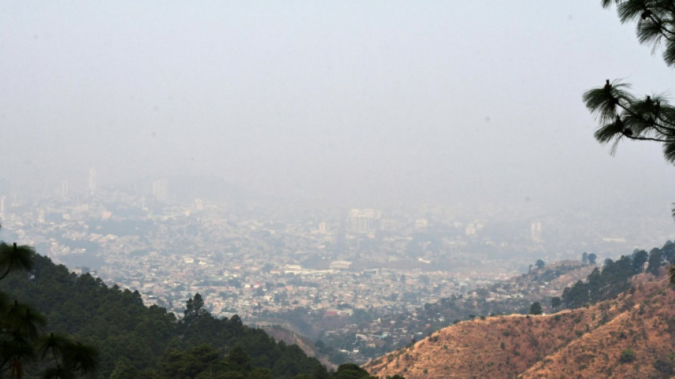 M&aacute;s de 64.000 hect&aacute;reas de bosques quemadas este a&ntilde;o en Honduras