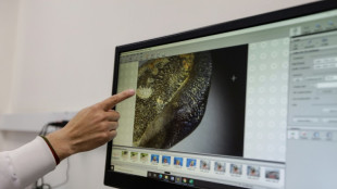 Colombia descubre una especie de tibur&oacute;n extinta hace millones de a&ntilde;os