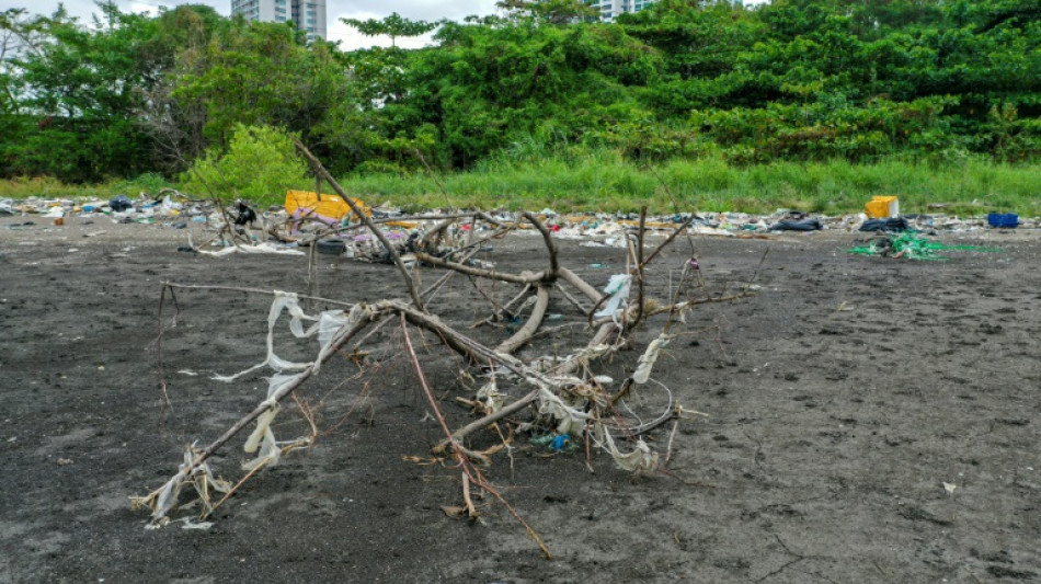 Conchas marinas y an&eacute;monas colonizan el "continente de pl&aacute;stico" del Pac&iacute;fico