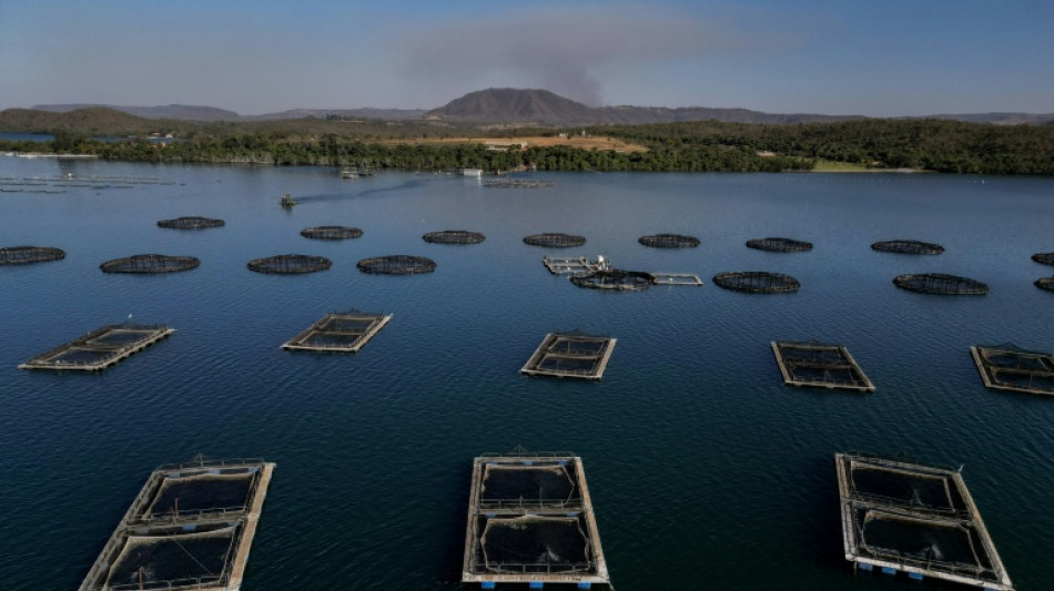 El pescado brasile&ntilde;o sufre como pocos el tarifazo de Trump