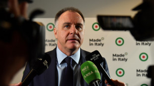 Orsini: 'difendere Pirelli, serve risposta forte del Paese'