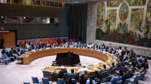 EEUU veta en la ONU resoluci&oacute;n para pedir alto el fuego en Gaza