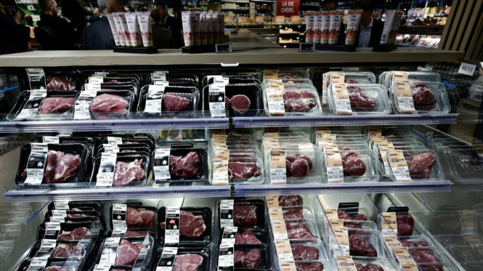 La carne roja debe ser solo una parte m&iacute;nima de una dieta saludable, reafirman expertos internacionales 
