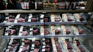 La carne roja debe ser solo una parte m&iacute;nima de una dieta saludable, reafirman expertos internacionales 