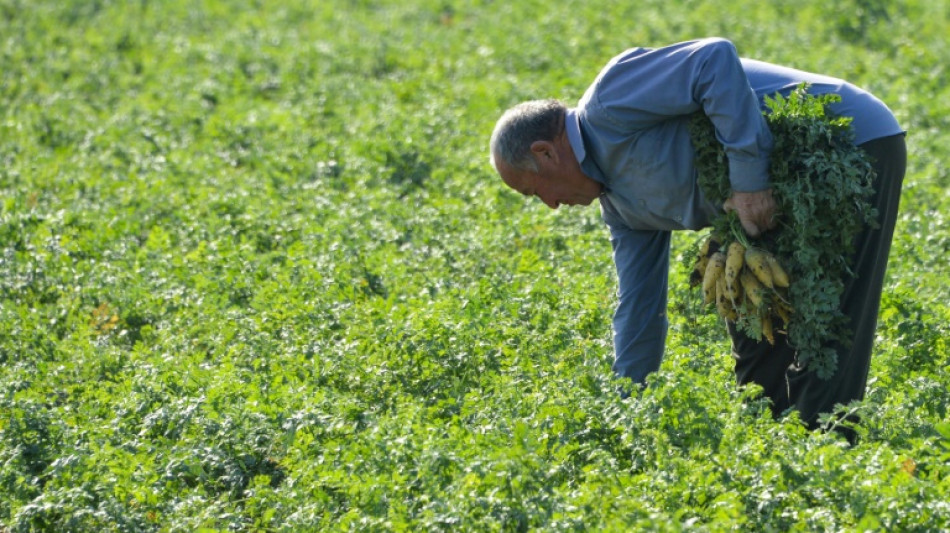 Crops under threat as surprise March heatwave hits Central Asia: study