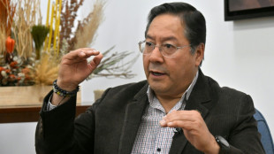 Bol&iacute;via pode entrar em default sem novo financiamento, diz Arce &agrave; AFP