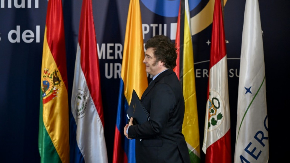 Milei pide un Mercosur con "m&aacute;s libertad para comerciar puertas afuera"