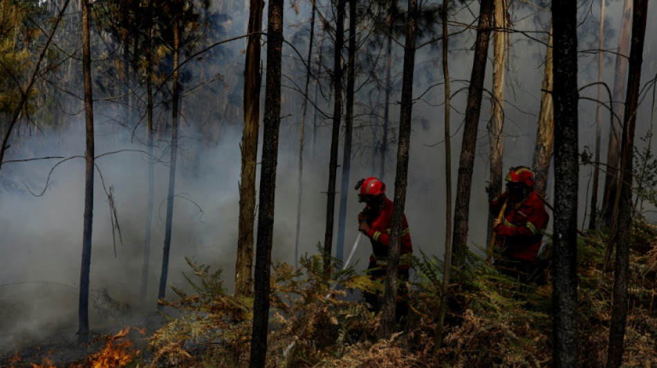 Incendios se extienden por sur de Europa, pico de calor en la pen&iacute;nsula ib&eacute;rica