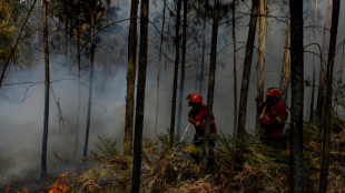 Incendios se extienden por sur de Europa, pico de calor en la pen&iacute;nsula ib&eacute;rica