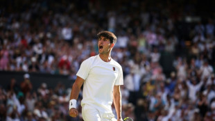 Alcaraz aims to avoid giant-killing after Wimbledon seeds tumble