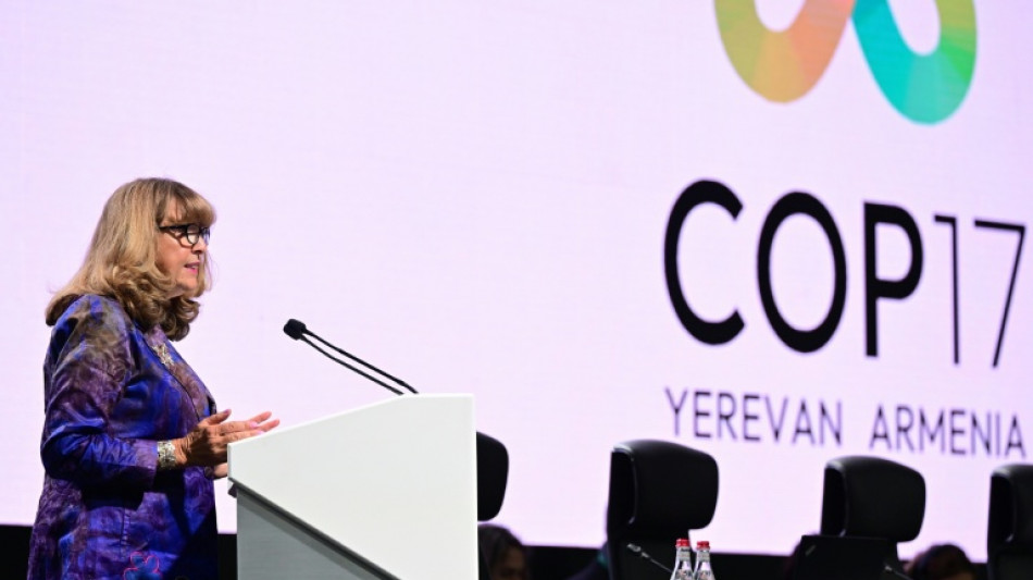 COP17 chega a acordo sobre textos-chave para proteger a natureza