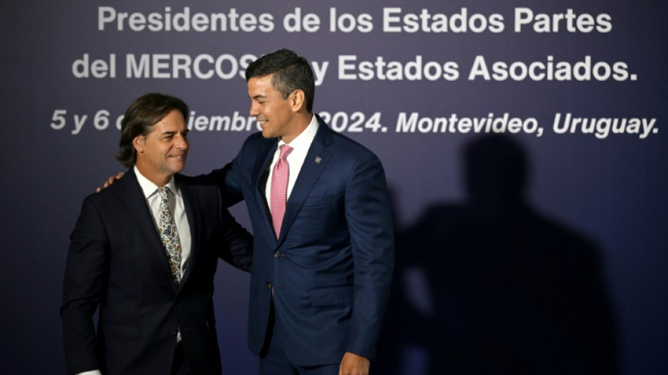El acuerdo UE-Mercosur beneficiar&aacute; "principalmente" a Europa, asegura el presidente de Paraguay a AFP 
