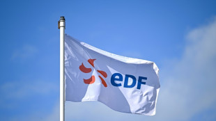 El regulador financiero franc&eacute;s valida la renacionalizaci&oacute;n del gigante el&eacute;ctrico EDF