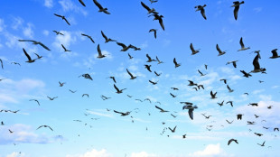 "Un tournant" après les crises: les pêcheurs français réunis à Boulogne-sur-Mer