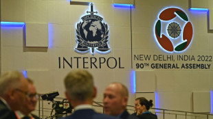 Interpol intercepta 130 millones de d&oacute;lares en su lucha contra la delincuencia digital