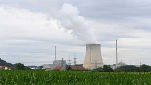 FDP betont grunds&auml;tzliches Festhalten am Atomausstieg
