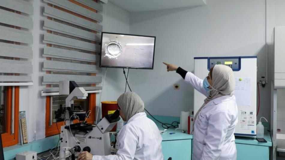 Todo por un var&oacute;n: un viaje a Cisjordania para elegir el sexo del beb&eacute;