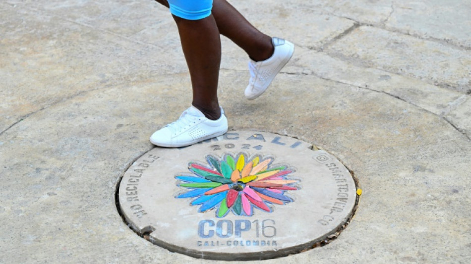 Li&ccedil;&otilde;es do covid na COP16: proteger o planeta para evitar os v&iacute;rus