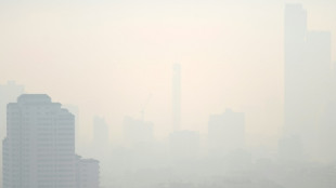 Elections en Tha&iuml;lande: la pollution de l'air s'invite avec fracas dans la campagne