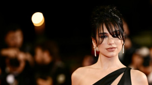 Personalidades brit&aacute;nicas, entre ellas Dua Lipa, piden la suspensi&oacute;n de la venta de armas a Israel