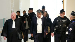 Condamn&eacute; pour violences conjugales, Plaza accuse le parquet d'avoir "truqu&eacute;" son proc&egrave;s et attaque l'Etat