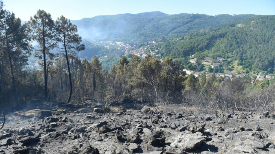 L'incendie des C&eacute;vennes fix&eacute;, dispositif all&eacute;g&eacute; pour la nuit
