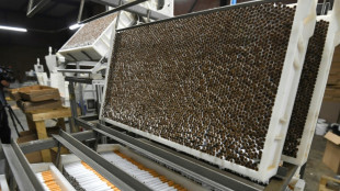 Una reuni&oacute;n mundial acuerda reforzar el seguimiento a los productos del tabaco
