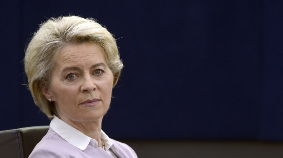 Widerstand gegen "gr&uuml;ne" Atomenergie und Gas im Europaparlament