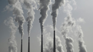 &iquest;Qu&eacute; consecuencias tendr&aacute; para los combustibles f&oacute;siles el pronunciamiento de la CIJ?