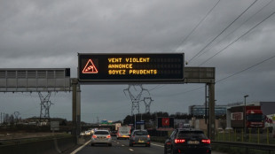 Pourquoi le secteur automobile européen traverse "un ouragan force 5"?