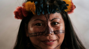 L&iacute;der ind&iacute;gena brasileira ganha pr&ecirc;mio ambiental por frear minera&ccedil;&atilde;o