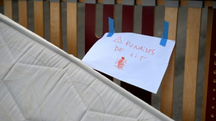 La terre de Sommi&egrave;res efficace contre les punaises de lit selon des chercheurs de Nice et Marseille