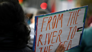 Conselho de Supervis&atilde;o da Meta aprova uso do lema pr&oacute;-palestino 'Do rio ao mar'