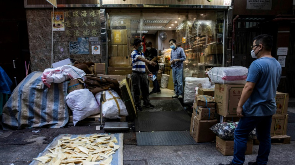 El comercio de aletas de tibur&oacute;n en Hong Kong, amenazado por la cumbre de fauna en Panam&aacute;