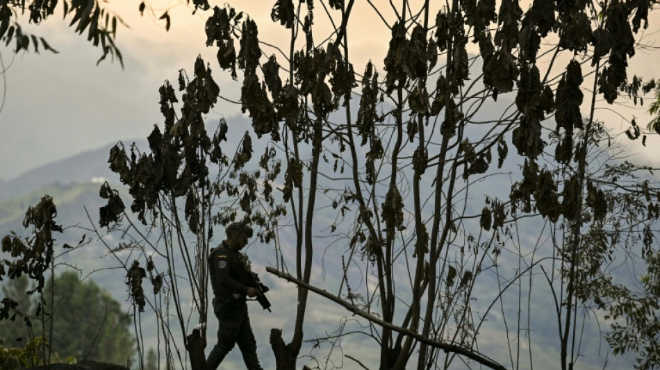 Capturan en Colombia a sospechosos de asesinar a un reputado bi&oacute;logo italiano