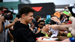 Norris tops Silverstone practice as Horner quizzed over Verstappen