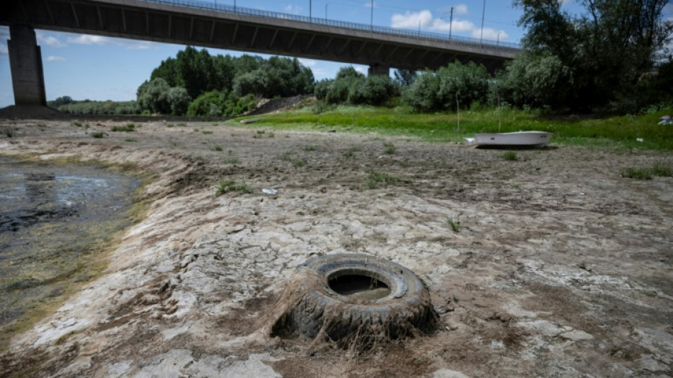 Le long d'un Danube ass&eacute;ch&eacute;, bateaux &eacute;chou&eacute;s et p&ecirc;cheurs sans travail