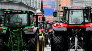 Tracteurs en force &agrave; Bruxelles, les 27 pr&ecirc;ts &agrave; r&eacute;viser la PAC