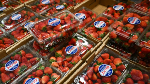 Deluge of Trump tariffs seen hitting household budgets