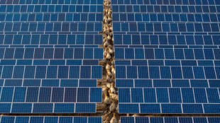 China first-quarter emissions fell despite rising power demand