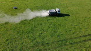 Top WTO official sounds fertiliser warning over Middle East war