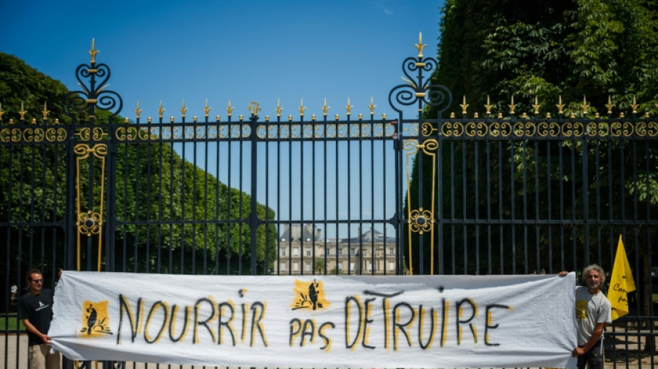 France adopts law upholding ban on controversial insecticide