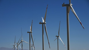 América Latina pode 'fazer mais' contra crise climática, dizem OCDE e BID