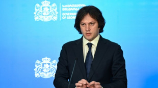 Georgiens Regierungschef droht mit "Ausl&ouml;schen" von "liberalem Faschismus"