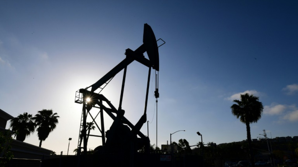 Record des prix de l'&eacute;nergie et des m&eacute;taux, inqui&eacute;tude sur les exportations russes