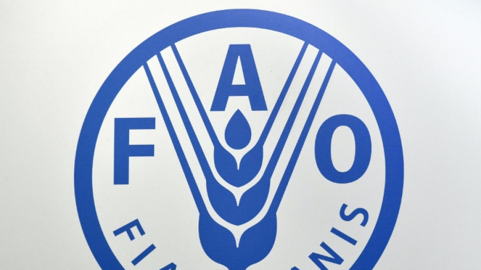 La ONU advierte que el bloqueo de Ormuz podr&iacute;a desencadenar una grave crisis alimentaria mundial